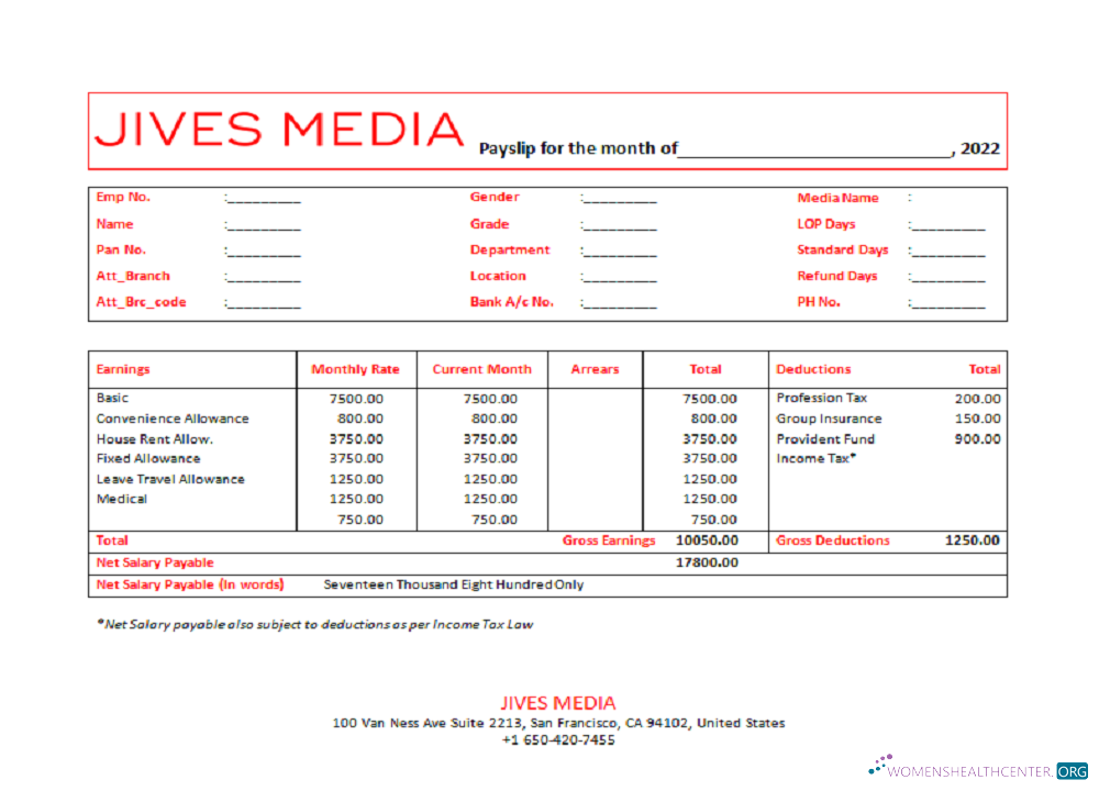 Download USA Jives Media advertising company pay stub Photoshop template